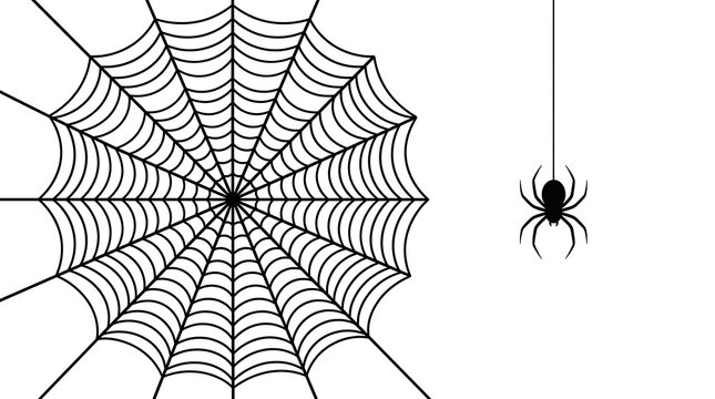 Black spider hanging from a circular spider web