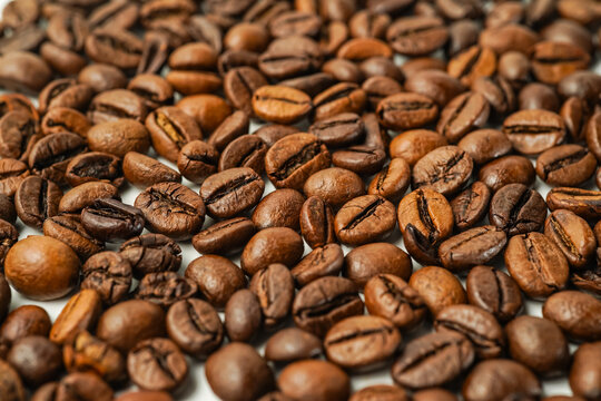 Kopi Luwak Indonesian premium coffee beans isolated, selected coffee beans