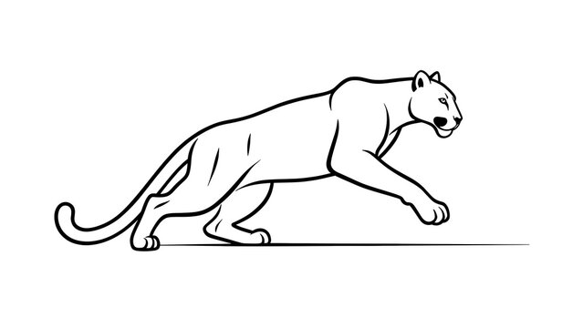 Black and white cougar illustration white background.