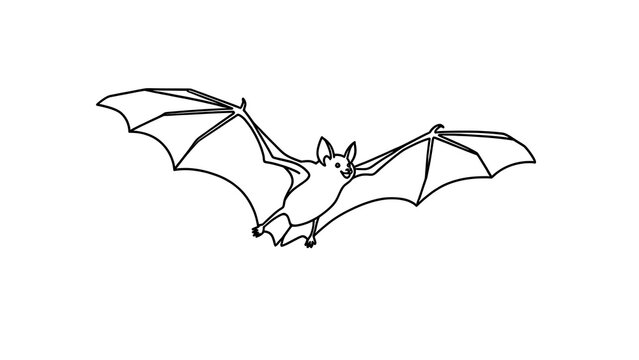 Flying bat illustration on white background.