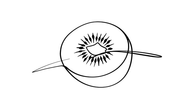 Minimalist line art kiwi fruit white background.