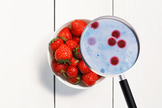 Magnifying glass showing Cyclospora parasite oocysts on fresh strawberries, illustrating foodborne illness, fruit contamination, hygiene safety, and cyclosporiasis outbreak concept.