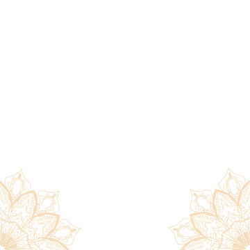 Elegant floral border design with intricate mandala patterns