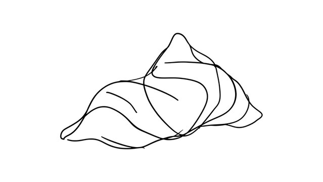 Minimalist seashell line art illustration white background.