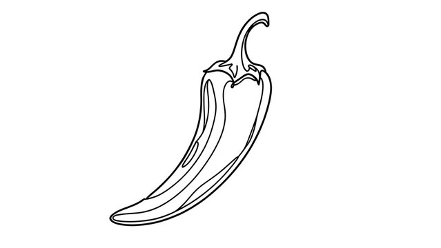 Black and white chili pepper illustration white background.