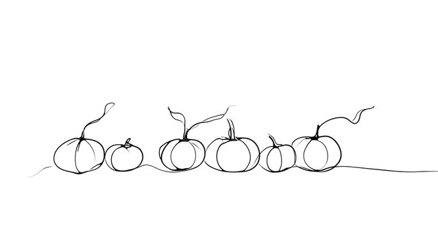 Hand drawn pumpkins white background.