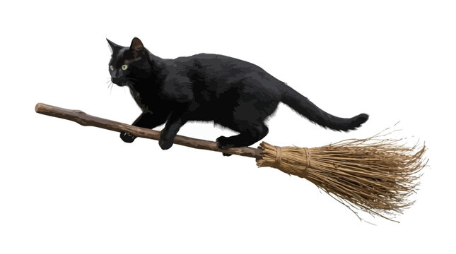 Helloween Black cat riding a flying broomstick; Halloween witch concept; Magical feline pet on wooden stick isolated on white background for festive design Vector