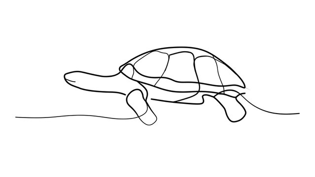 Minimalist turtle line drawing on white background.
