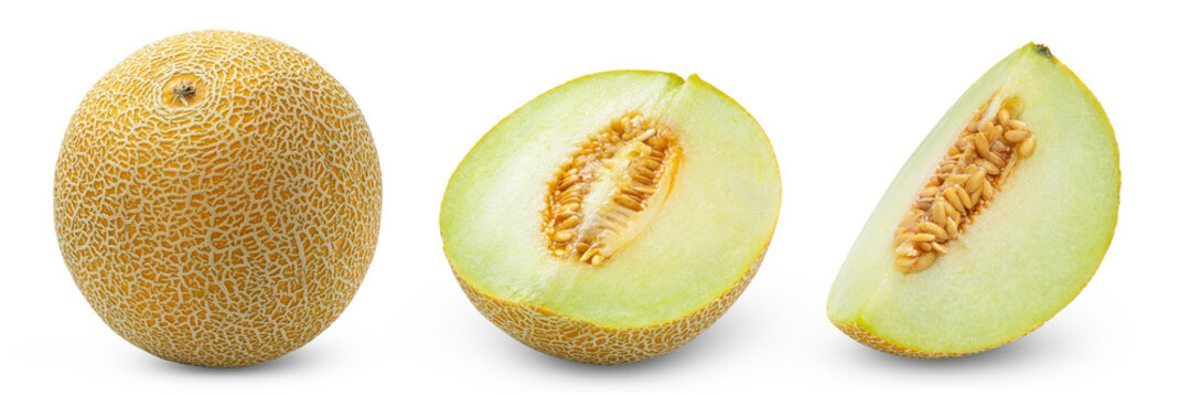 Cantaloupe melons isolate collection. Whole muskmelon, half of melon and cut in slice of cantaloupe melon isolated set.