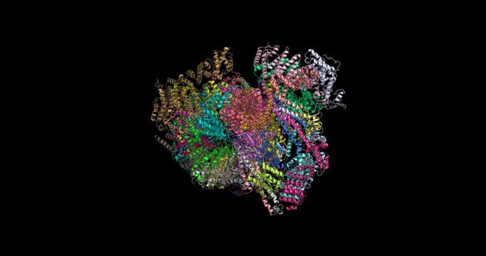 Human 26S proteasome substrate-engaged complex, 6MSH cryo-EM structure 3D 4K spinning