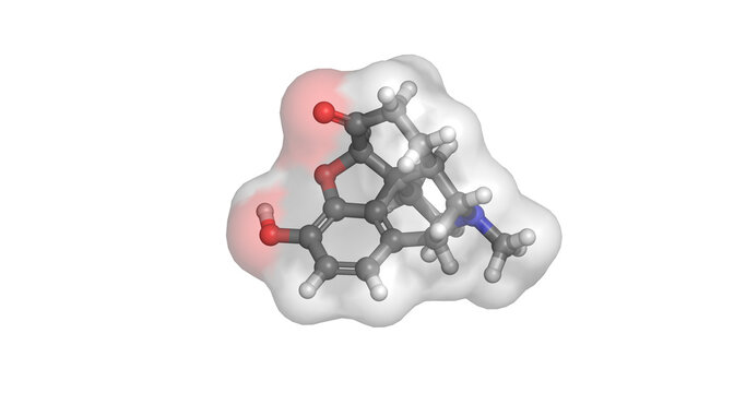 Hydromorphone, potent semi-synthetic mu-opioid receptor agonist analgesic, 3D molecule 4K