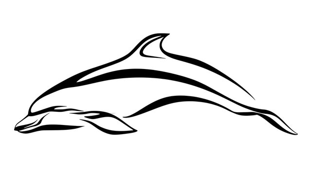 Elegant dolphin line art illustration white background.