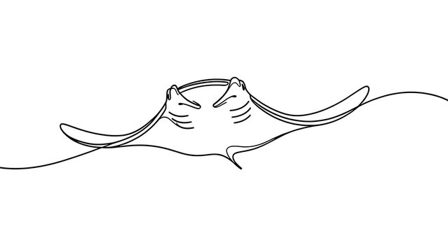 Minimalist line art cat white background.