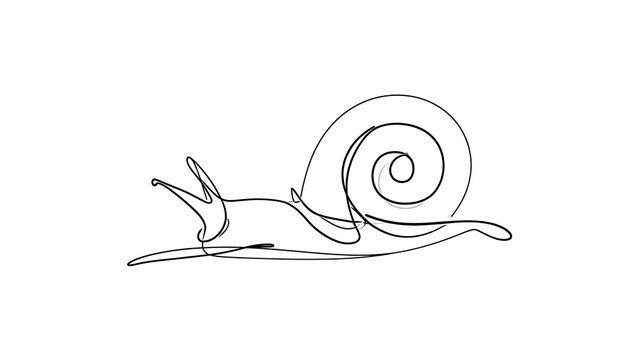 Simple snail line drawing on white background.