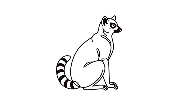 Illustration of a ringtailed lemur white background.