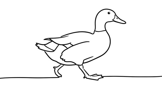Simple line drawing of a duck on white background.