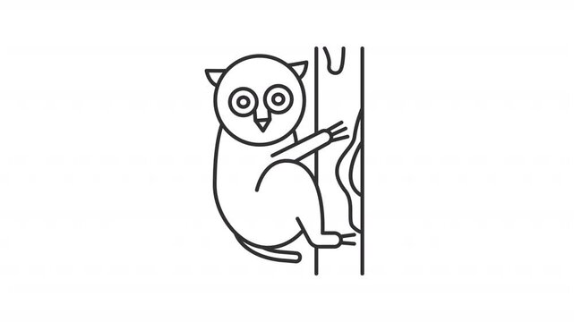 Tarsier clinging to tree line animation. Nocturnal animal animated icon. Large circular eyes. Vertical tree branch. Outline element on white background. HD video with alpha channel
