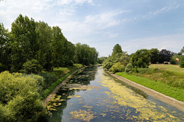 Fototapeta premium Scenic Waterway Surrounded by Green Forest Trees, kuehkopf, hesse