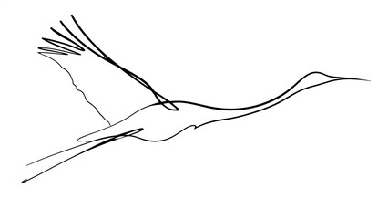Minimalist crane bird drawing white background. © rawa