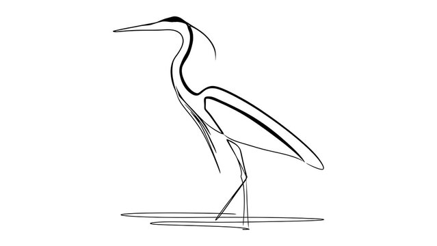 Minimalist heron line drawing on white background.