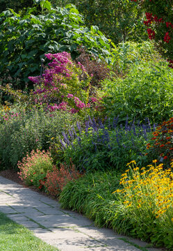 Stunning, colourful mixed flower border at Wisley garden, Surrey UK. The extensive flower beds are planted mainly wtih perennial plants.