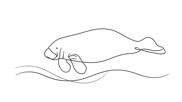 Minimalist manatee line art on white background.
