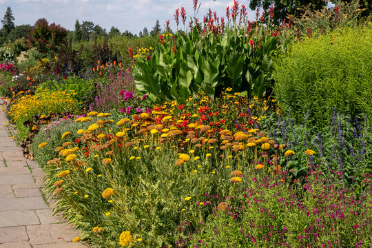 Stunning, colourful mixed flower border at Wisley garden, Surrey UK. The extensive flower beds are planted mainly wtih perennial plants.