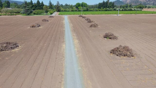 Vines are removed and burned in Sonoma and Napa due to excess stock and a shrinking market for wine.