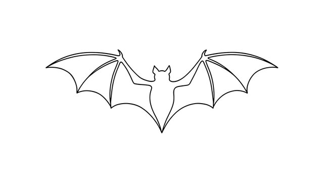 Simple bat silhouette illustration white background.
