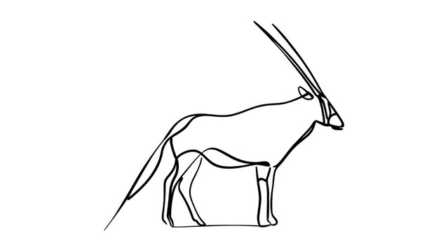 Minimalist oryx drawing white background.