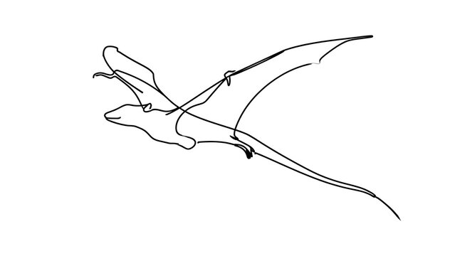 Minimalist pterodactyl line drawing white background.