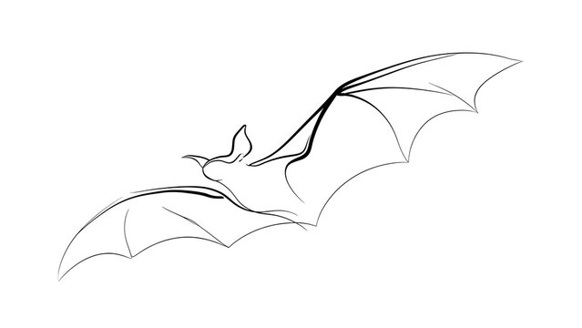 Flying bat illustration on white background.