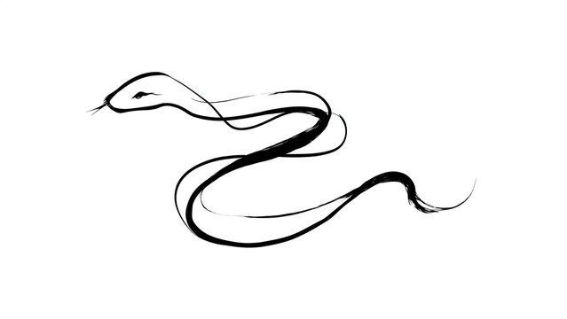 Elegant black snake illustration on white background.