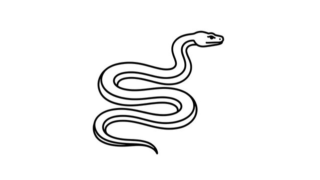 Elegant snake illustration on white background.