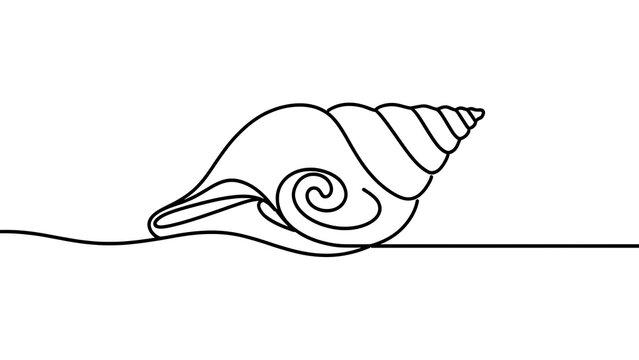Minimalist line art seashell on white background.