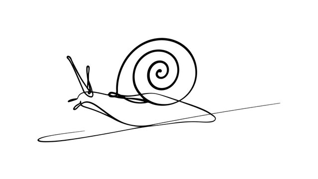 Simple snail line drawing on white background.