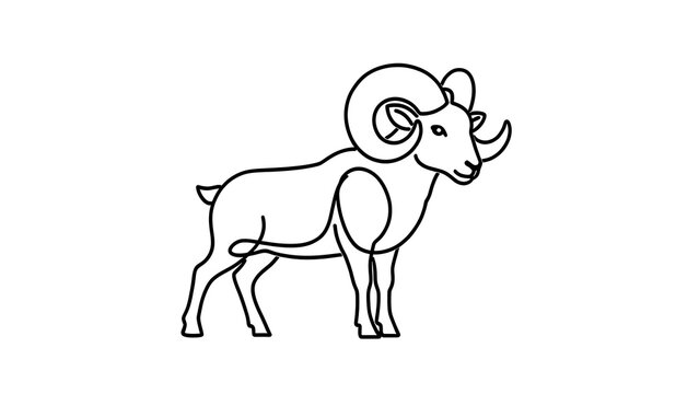Illustration of a ram with large curved horns white background.