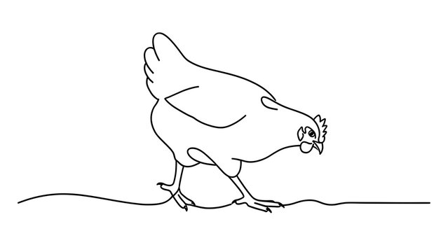 Simple line drawing of a chicken on white background.