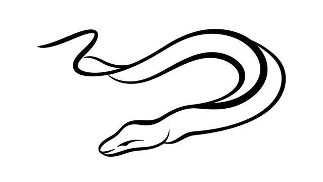 Minimalist snake illustration on white background.