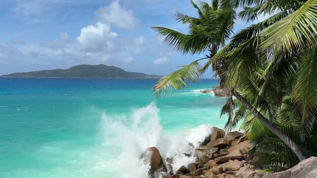 Palm trees over a turquoise strip of water, Anse Patates beach, La Digue island, Seychelles
