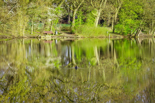 Das Wasser lag fast regungslos da, als h&auml;tte die Welt beschlossen, f&uuml;r einen Augenblick den Atem anzuhalten. Die Ente zog ihre feine Spur durch das gr&uuml;ne Spiegelbild, w&auml;hrend wir einfach nur dastanden