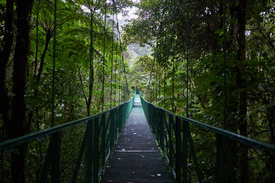 Horizontal View of Empty Green Suspension Hanging Bridge Surrounded by Dense Canopy in Monteverde Cloud Forest Costa Rica