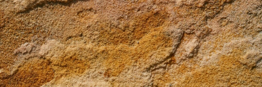 Rough sandstone surface showing natural texture and earthy brown color background