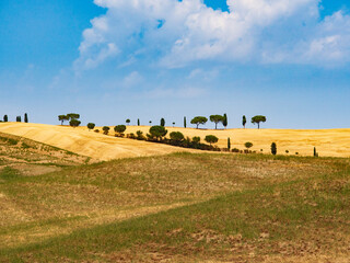 Fototapeta premium Italia, Toscana, Siena, la campagna senese in estate.