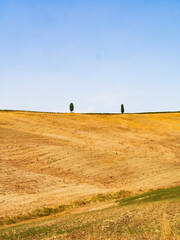 Fototapeta premium Italia, Toscana, Siena, la campagna senese in estate.