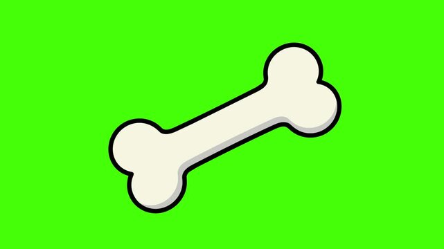 Cartoon bone icon animation isolated on green screen, vector illustration of a dog bone for animation, game assets, and creative design projects