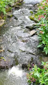 Rocky Mountain Stream in Divoka Sarka Nature Reserve Prague