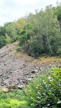 Rocky Cliffs, Hills and Forest in Divoka Sarka Nature Reserve Prague