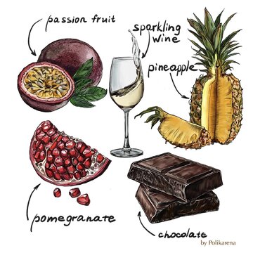 Sparkling wine tasting notes with passion fruit pineapple pomegranate and dark chocolate hand drawn sketch