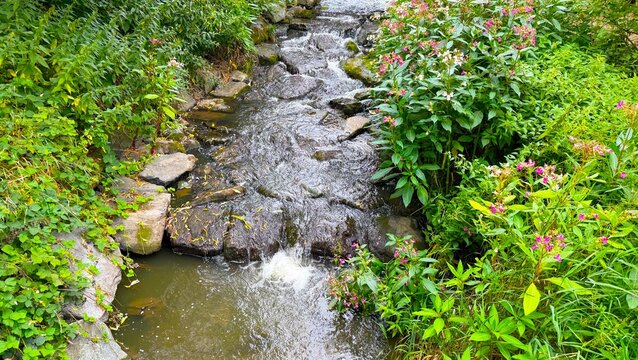 Rocky Mountain Stream in Divoka Sarka Nature Reserve Prague